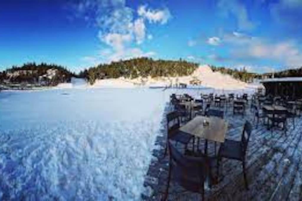 T2 Pour 4 Pers Style Chalet Pied Des Pistes Bolquere Pyrenees 2000 Exteriér fotografie